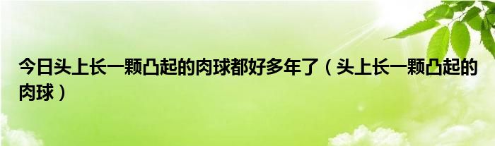 今日头上长一颗凸起的肉球都好多年了(头上长一颗凸起的肉球)