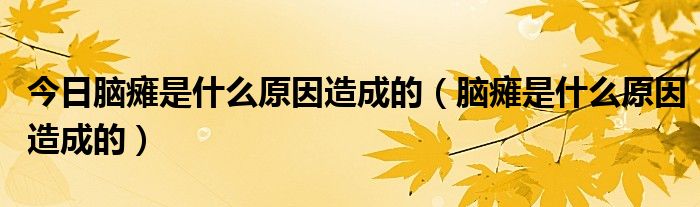 今日脑瘫是什么原因造成的(脑瘫是什么原因造成的)