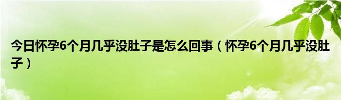 今日怀孕6个月几乎没肚子是怎么回事(怀孕6个月几乎没肚子)