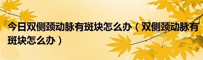 今日双侧颈动脉有斑块怎么办(双侧颈动脉有斑块怎么办)