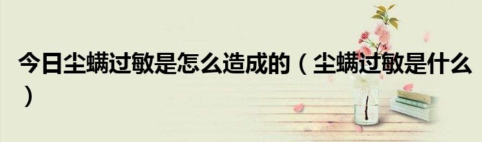 今日尘螨过敏是怎么造成的(尘螨过敏是什么)