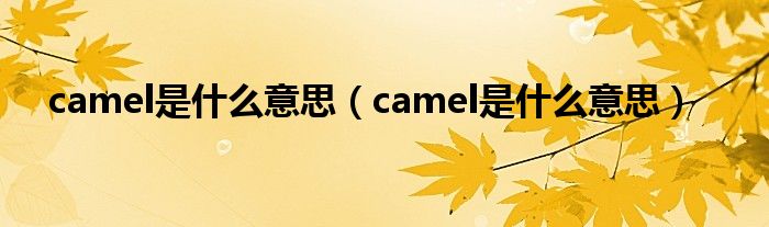 camel是什么意思(camel是什么意思)