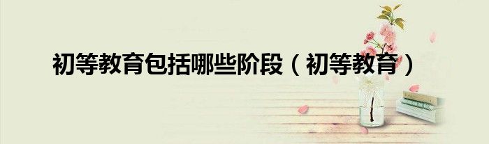 初等教育包括哪些阶段(初等教育)