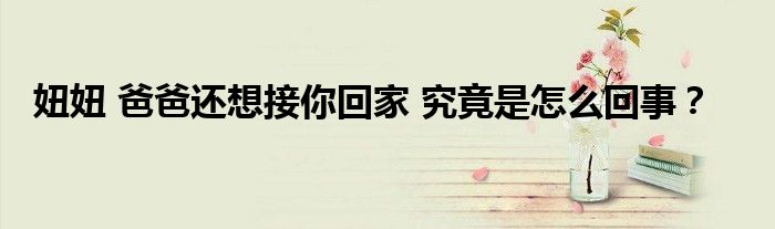 妞妞 爸爸还想接你回家 究竟是怎么回事?