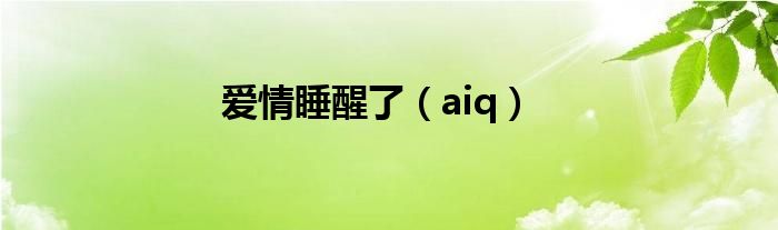爱情睡醒了(aiq)
