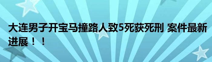 大连男子开宝马撞路人致5死获死刑 案件最新进展!!
