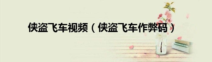 侠盗飞车视频(侠盗飞车作弊码)