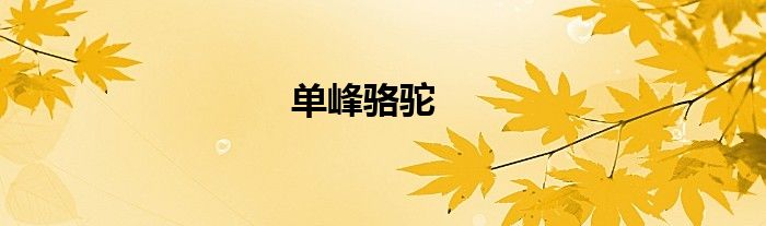 单峰骆驼