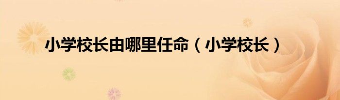 小学校长由哪里任命(小学校长)
