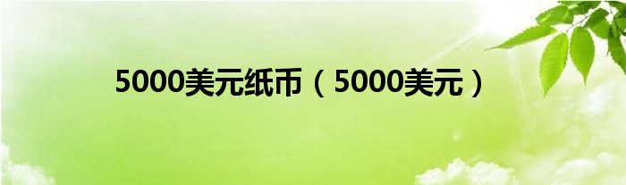 5000美元纸币(5000美元)