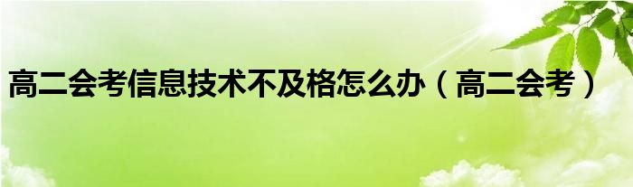 高二会考信息技术不及格怎么办(高二会考)
