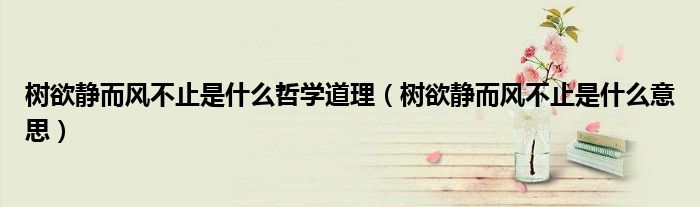 树欲静而风不止是什么哲学道理(树欲静而风不止是什么意思)