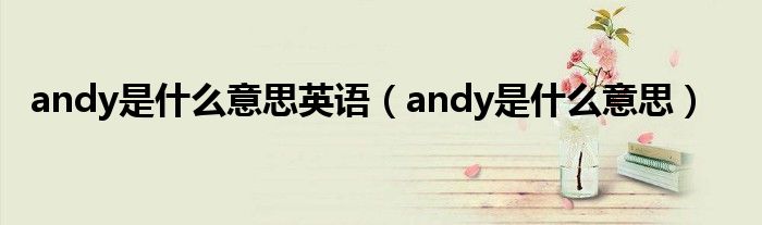 andy是什么意思英语（andy是什么意思）