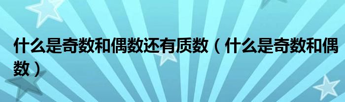 什么是奇数和偶数还有质数(什么是奇数和偶数)