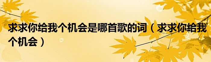 求求你给我个机会是哪首歌的词（求求你给我个机会）