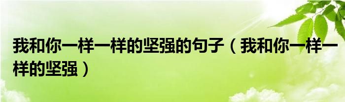 我和你一样一样的坚强的句子(我和你一样一样的坚强)