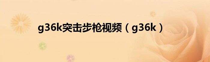 g36k突击步枪视频(g36k)