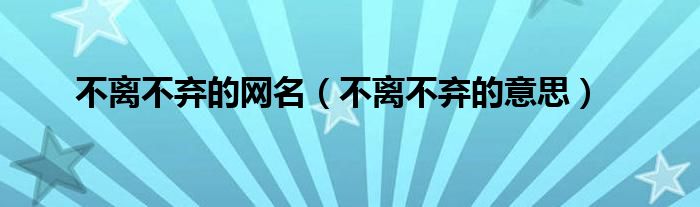 不离不弃的网名（不离不弃的意思）