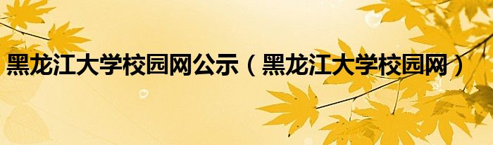 黑龙江大学校园网公示(黑龙江大学校园网)