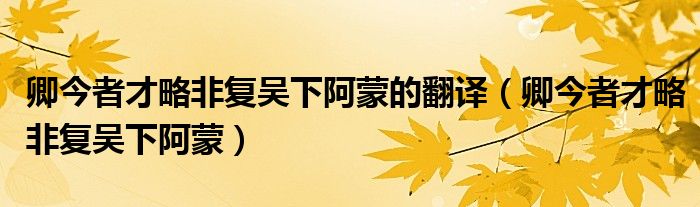 卿今者才略非复吴下阿蒙的翻译(卿今者才略非复吴下阿蒙)