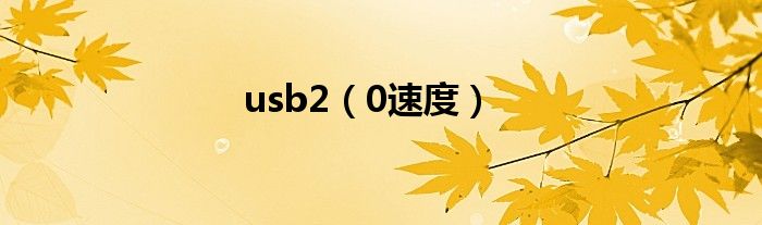 usb2(0速度)