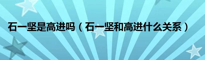 石一坚是高进吗(石一坚和高进什么关系)
