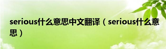 serious什么意思中文翻译(serious什么意思)