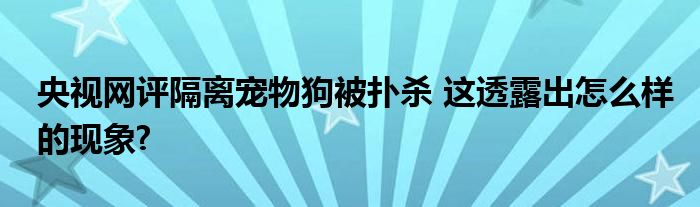 央视网评隔离宠物狗被扑杀 这透露出怎么样的现象?