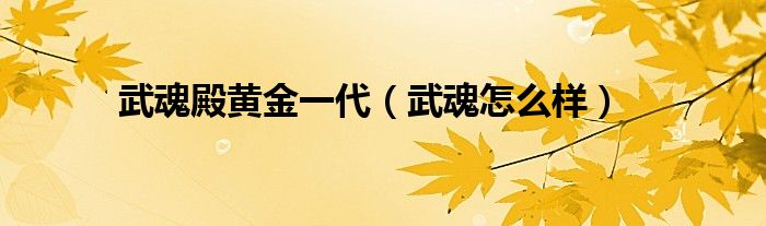 武魂殿黄金一代(武魂怎么样)