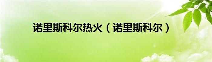 诺里斯科尔热火(诺里斯科尔)