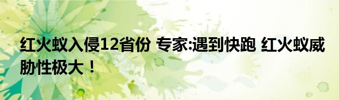 红火蚁入侵12省份 专家:遇到快跑 红火蚁威胁性极大!