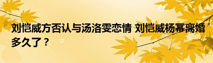 刘恺威方否认与汤洛雯恋情 刘恺威杨幂离婚多久了?
