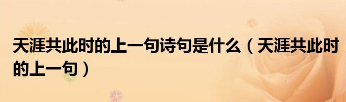 天涯共此时的上一句诗句是什么(天涯共此时的上一句)