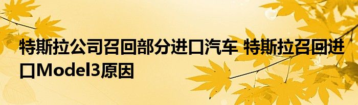 特斯拉公司召回部分进口汽车 特斯拉召回进口Model3原因