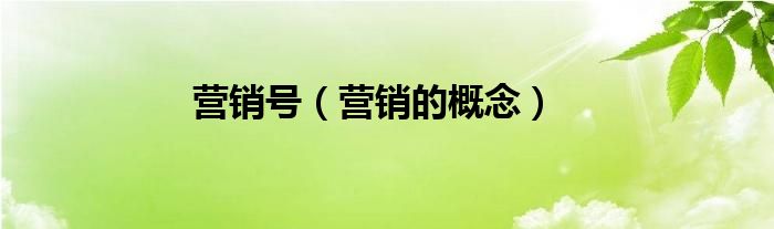 营销号（营销的概念）