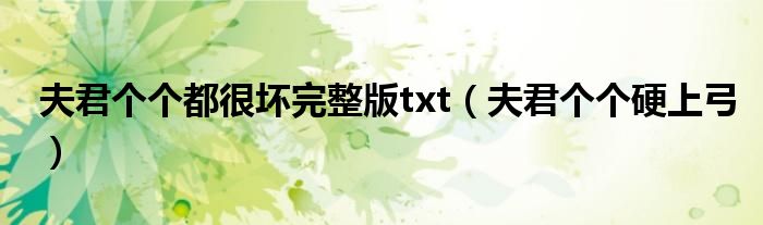 夫君个个都很坏完整版txt(夫君个个硬上弓)