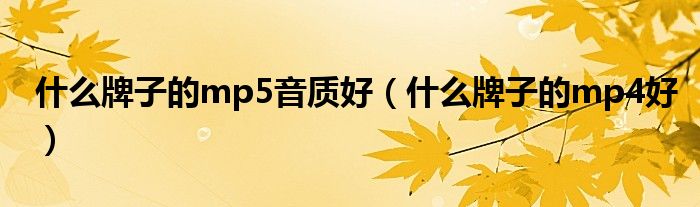 什么牌子的mp5音质好(什么牌子的mp4好)