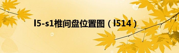 l5-s1椎间盘位置图(l514)