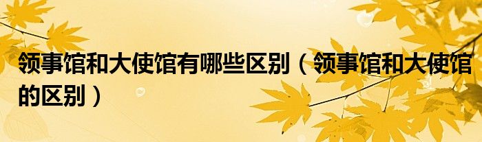 领事馆和大使馆有哪些区别(领事馆和大使馆的区别)