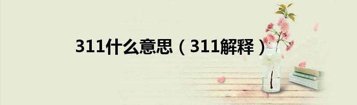 311什么意思(311解释)