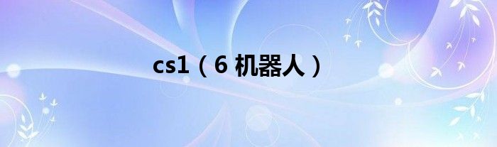 cs1（6 机器人）