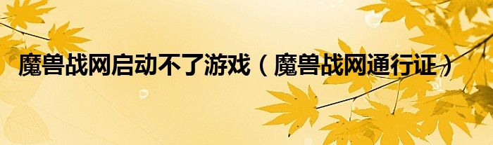 魔兽战网启动不了游戏(魔兽战网通行证)