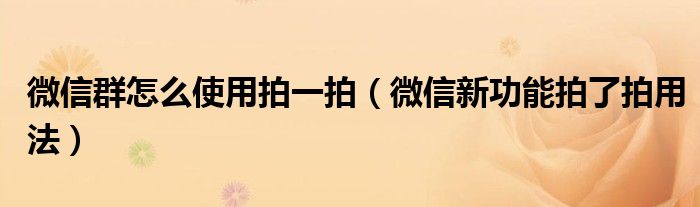 微信群怎么使用拍一拍(微信新功能拍了拍用法)