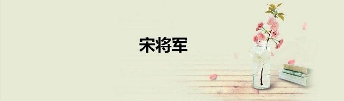 宋将军