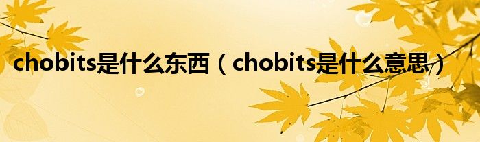 chobits是什么东西(chobits是什么意思)