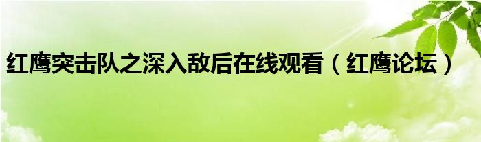 红鹰突击队之深入敌后在线观看(红鹰论坛)