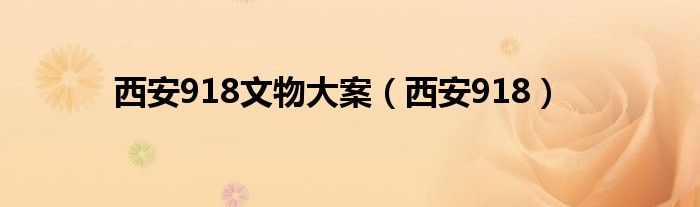 西安918文物大案(西安918)