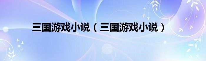 三国游戏小说(三国游戏小说)