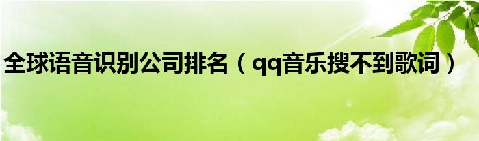 全球语音识别公司排名(qq音乐搜不到歌词)