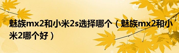 魅族mx2和小米2s选择哪个(魅族mx2和小米2哪个好)